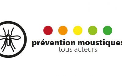 Lutte contre le moustique tigre