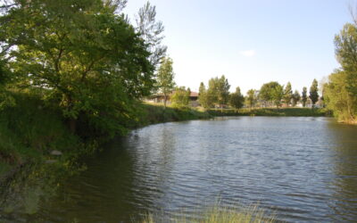 APPEL A CANDIDATURE – Occupation temporaire d&rsquo;un food truck/buvette au Lac St Caprais pour la saison estivale