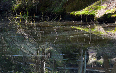 Information pollution de l&rsquo;eau