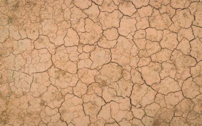 Sécheresse : reconnaissance de catastrophe naturelle pour l&rsquo;année 2022