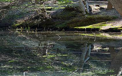 Information sur la Seillonne et la Sausse