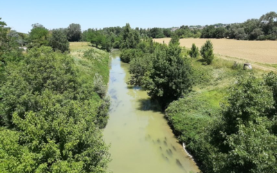 Épisode de pollution de l’Hers terminé