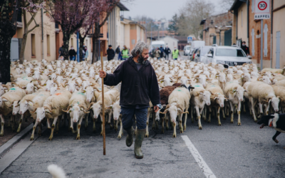Environnement – Éco-paturâge