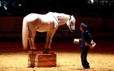 La tournée du facteur – Spectacle de rue