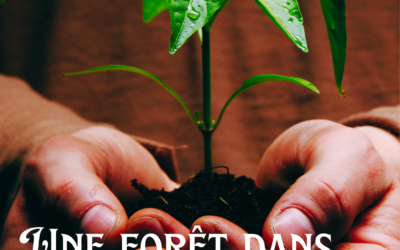 Plantation d’une micro-forêt au Lycée Raymond Naves