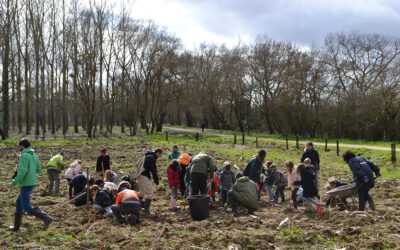 Plantation citoyenne de la forêt d&rsquo;agrément.