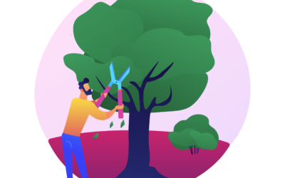 Travaux d’Élagage et d’Abattage