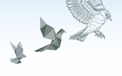 Balade et initiation ornithologique: les oiseaux, ces thérapeutes insoupçonnés.