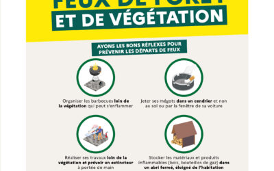 Feux de forêt : les réflexes de prévention