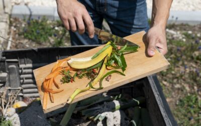 Tri à la source des biodéchets