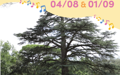 Siestes musicales 2024