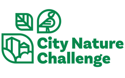 City Nature Challenge