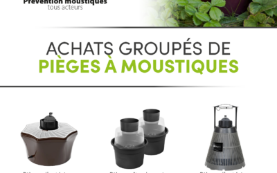 Achat groupé de pièges à moustiques 2024