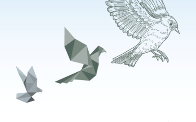 Balade et initiation ornithologique: les oiseaux, ces thérapeutes insoupçonnés.