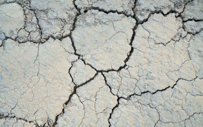 Sécheresse : non reconnaissance de catastrophe naturelle pour L’Union