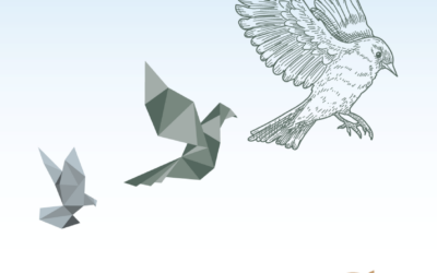 Balade et initiation ornithologique: les oiseaux, ces thérapeutes insoupçonnés.