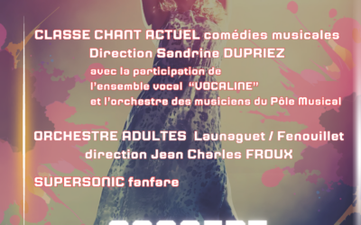 Concert de musiques actuelles