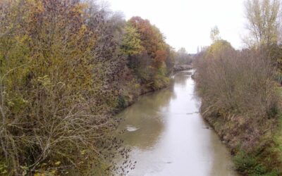 Vigilance jaune risque de crue