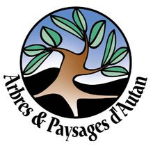 Balade botanique du 27 septembre 2025