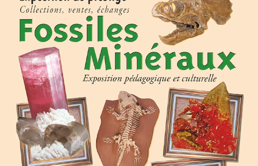 Salon Fossiles et Minéraux