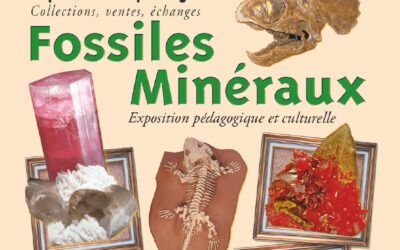 Salon Fossiles et Minéraux