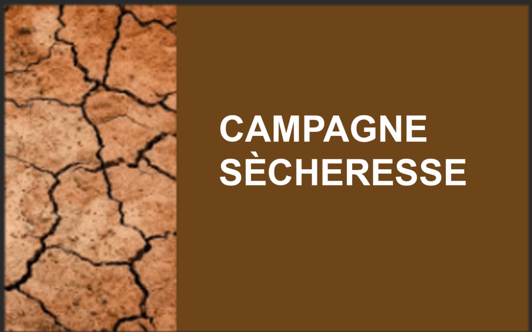 Campagne sécheresse, déclarer un sinistre