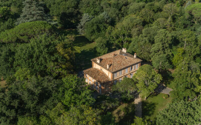 Conférence sur « L’Arbre en Ville »