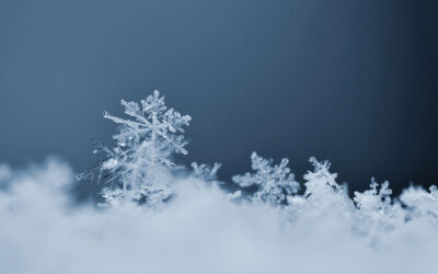 Grand froid et accompagnement des personnes sans domicile