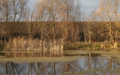 L’inventaire des zones humides du bassin Hers Girou