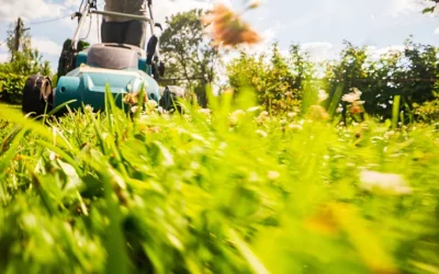 Déchets verts : les calendriers sont disponibles