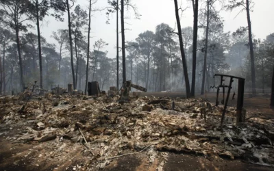 Incendies : comment venir en aide aux populations sinistrées ?