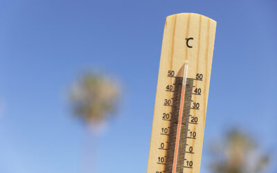 Alerte canicule